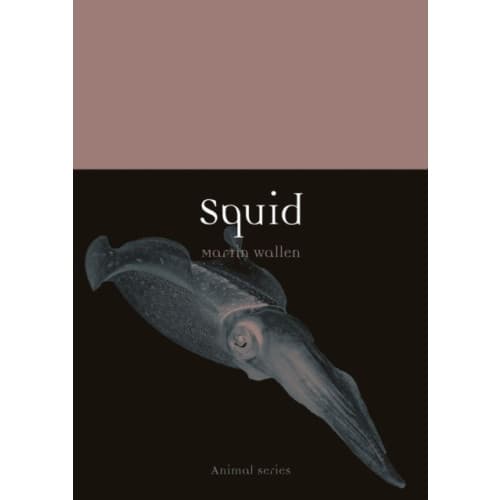 Squid (häftad, eng)