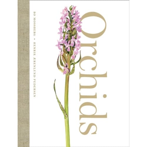Orchids (inbunden, eng)