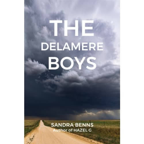 The Delamere Boys (häftad, eng)