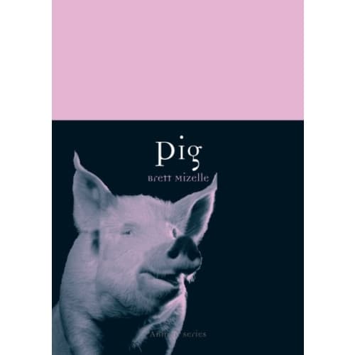 Pig (häftad, eng)