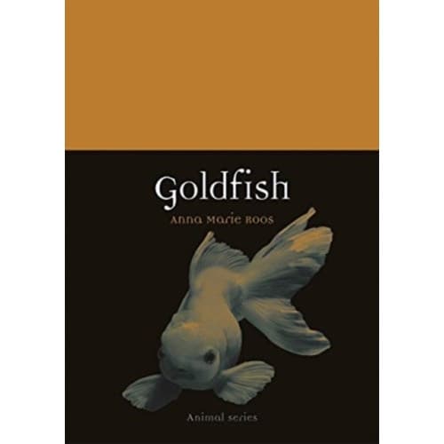 Goldfish (häftad, eng)
