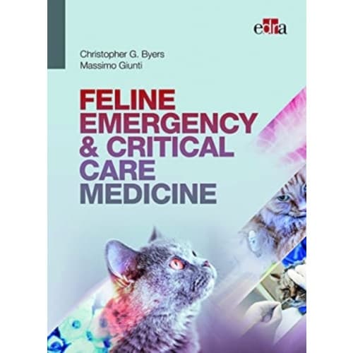 FELINE EMERGENCY & CRITICAL CARE MEDICINE (inbunden, eng)