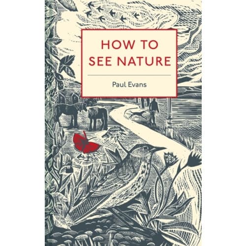 How to See Nature (inbunden, eng)