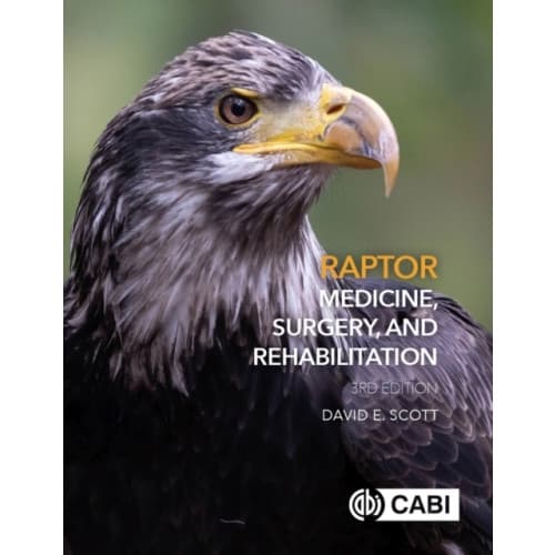 Raptor Medicine, Surgery, and Rehabilitation (inbunden, eng)