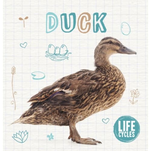 Duck (inbunden, eng)