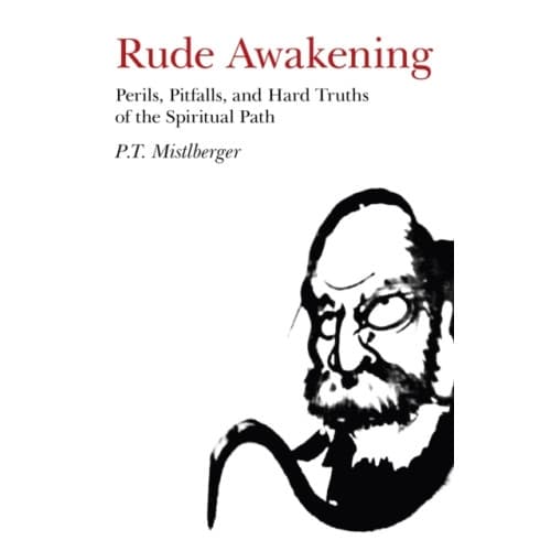 Rude Awakening – Perils, Pitfalls, and Hard Truths of the Spiritual Path (häftad, eng)