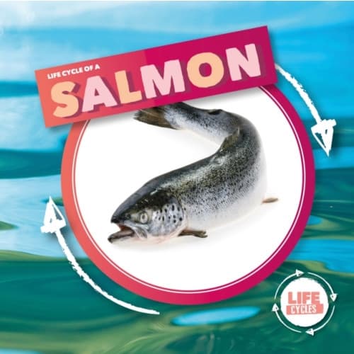 Life Cycle Of A Salmon (inbunden, eng)