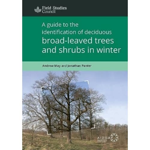A Guide to the Identification of Deciduous Broad - Leaved Trees and Shrubs in Winter (häftad, eng)