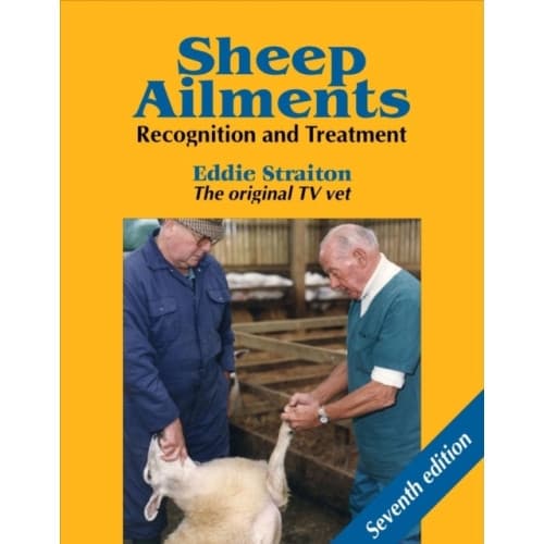Sheep Ailments (inbunden, eng)