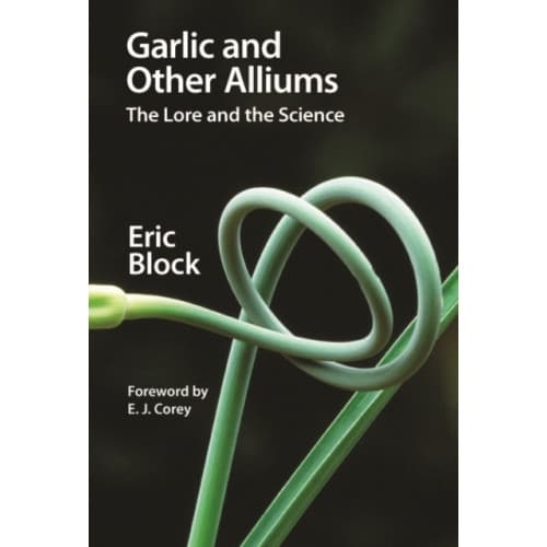 Garlic and Other Alliums (häftad, eng)