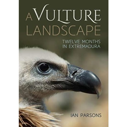 A Vulture Landscape (häftad, eng)