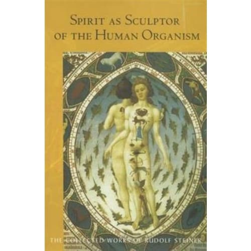 Spirit as Sculptor of the Human Organism (häftad, eng)