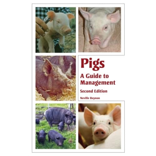 Pigs (häftad, eng)