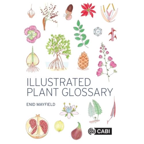Illustrated Plant Glossary (häftad, eng)