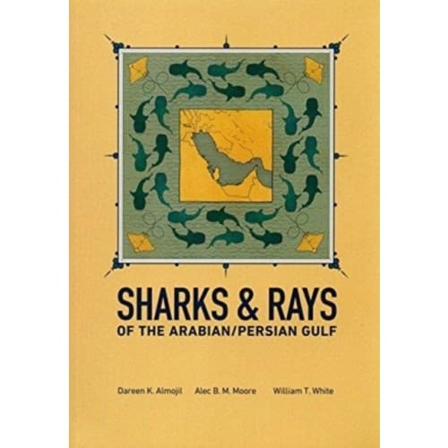 Sharks & Rays of the Arabian/Persian Gulf (häftad, eng)