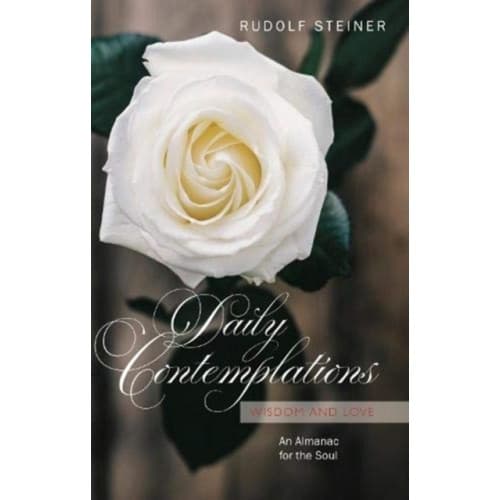 Daily Contemplations (häftad, eng)