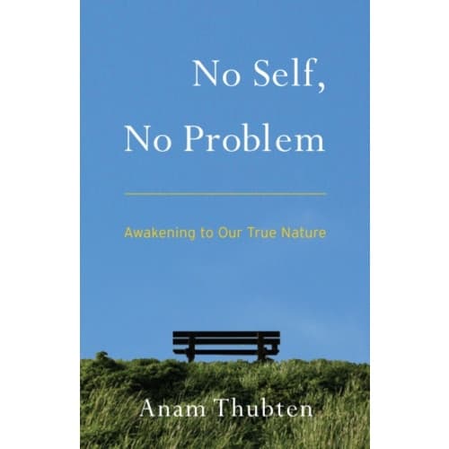 No Self, No Problem (häftad, eng)