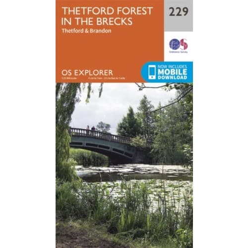 Thetford Forest in the Brecks