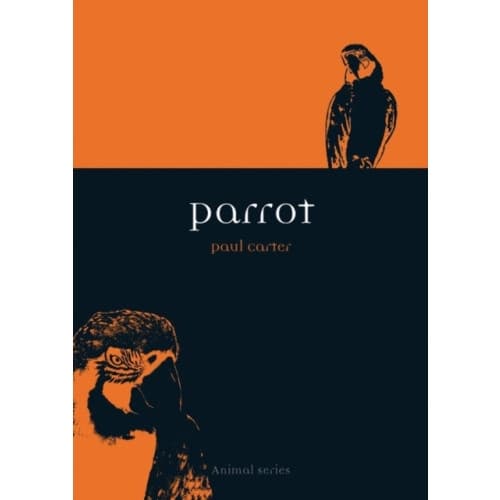 Parrot (häftad, eng)