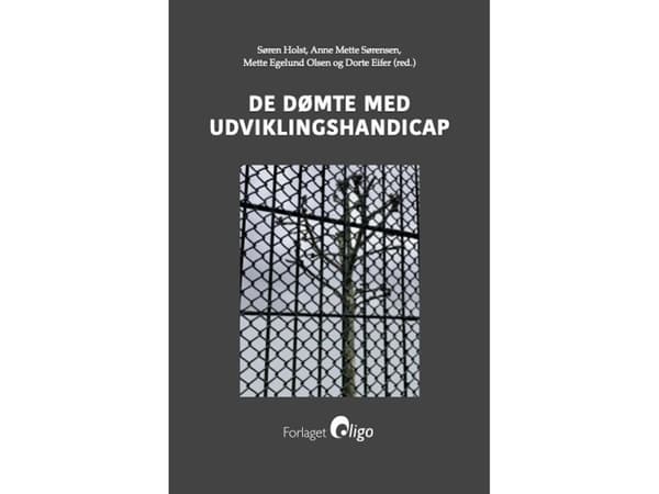 De dømte med udviklingshandicap | Søren Holst, Anne Mette Sørensen, Mette Egelund Olsen og Dorte Eifer (red.)