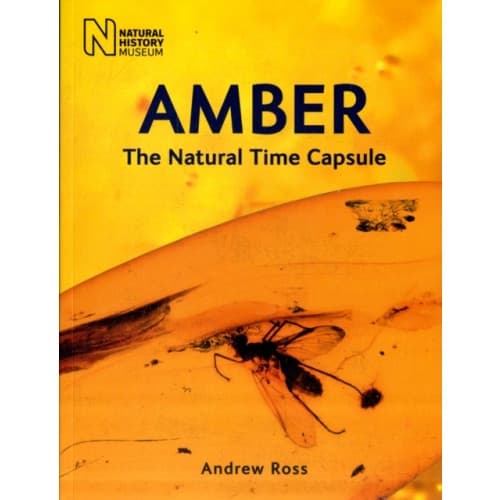 Amber (häftad, eng)