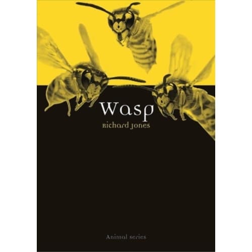 Wasp (häftad, eng)