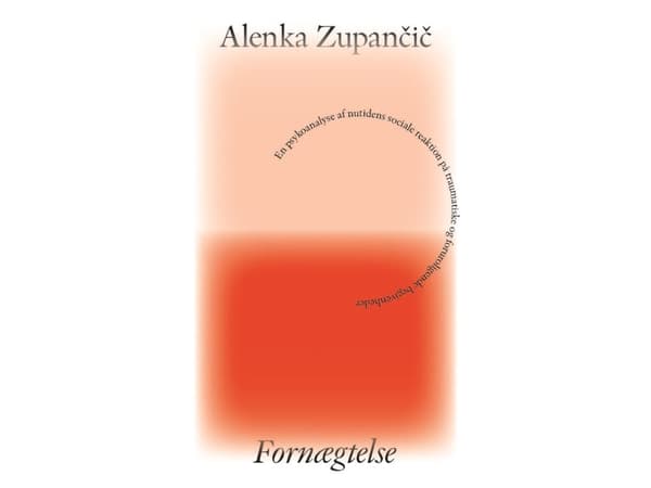 Fornægtelse | Alenka Zupančič