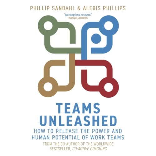Teams Unleashed (häftad, eng)