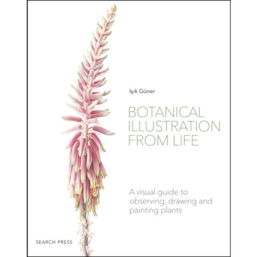 Botanical Illustration from Life (häftad, eng)