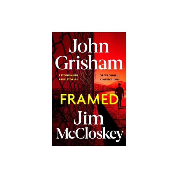 FRAMED (inbunden, eng)