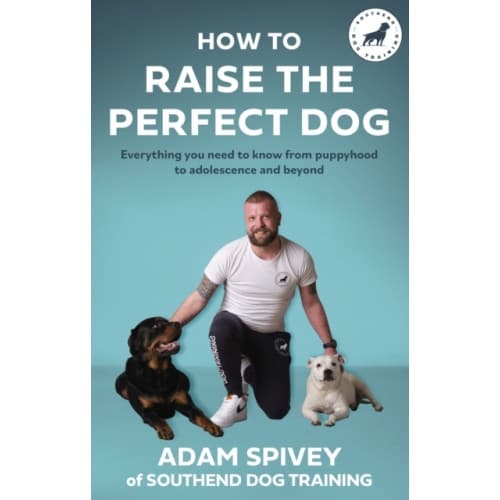 How to Raise the Perfect Dog (häftad, eng)
