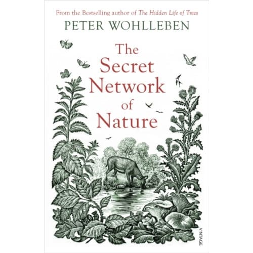 The Secret Network of Nature (häftad, eng)