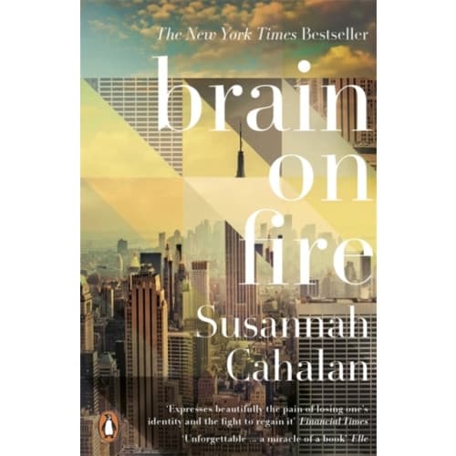 Brain On Fire: My Month of Madness (häftad, eng)