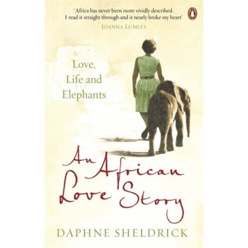 An African Love Story (häftad, eng)