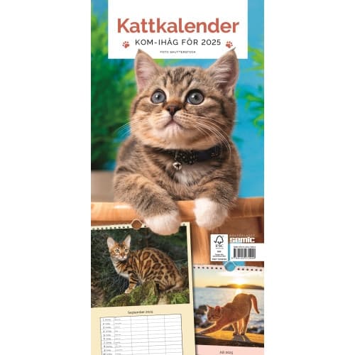 Kattkalender 2025 (bok, spiral)
