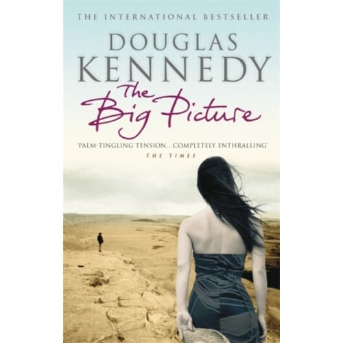 The Big Picture (häftad, eng)