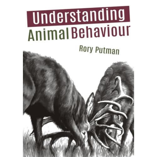 Understanding Animal Behaviour (häftad, eng)