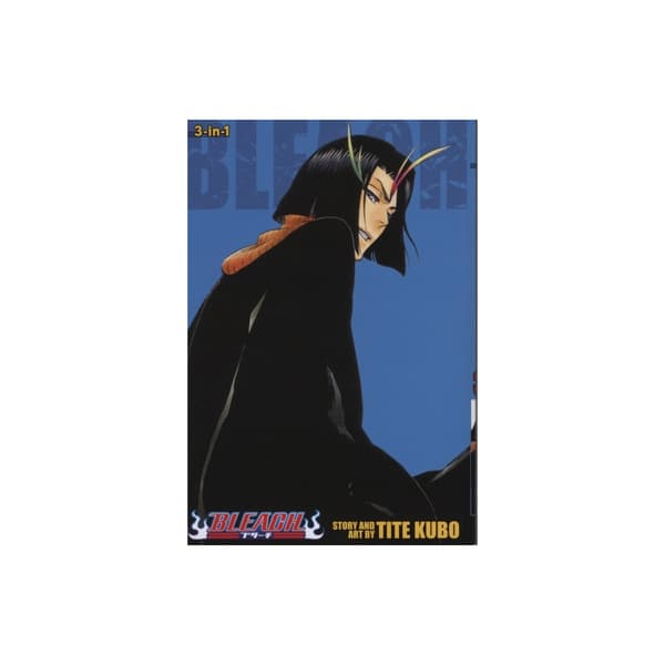 Bleach (3-in-1 Edition), Vol. 13 (häftad, eng)