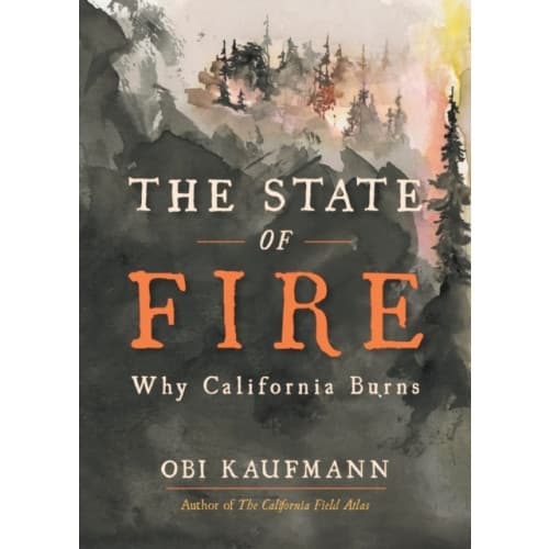 The State of Fire (inbunden, eng)