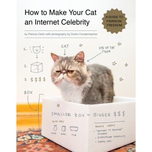 How to Make Your Cat an Internet Celebrity (häftad, eng)