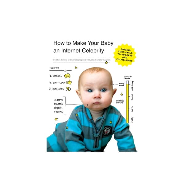 How to Make Your Baby an Internet Celebrity (häftad, eng)