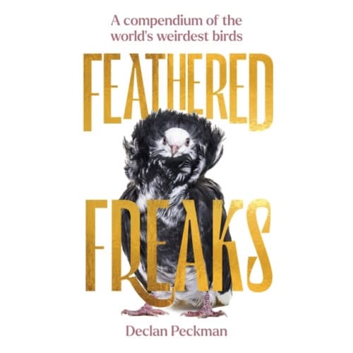Feathered Freaks (inbunden, eng)