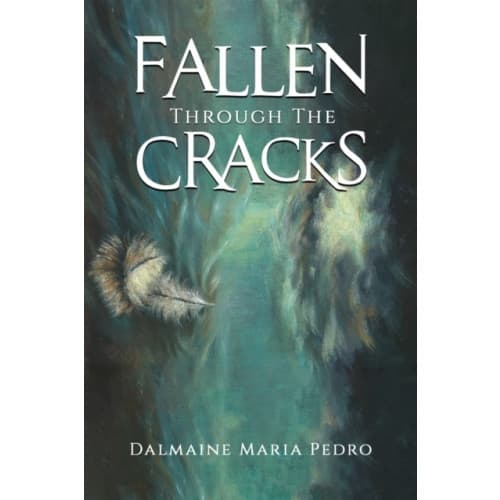 Fallen Through The Cracks (häftad, eng)