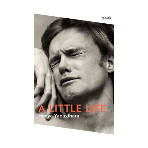 A Little Life (pocket, eng)