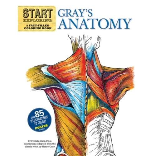 Start Exploring: Gray's Anatomy (häftad, eng)