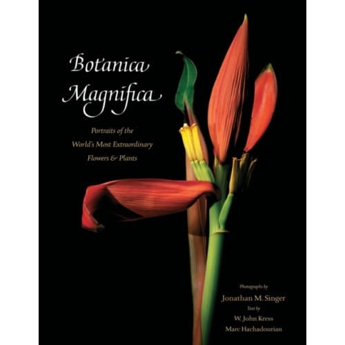 Botanica Magnifica: Portraits of the World's Most Extraordinary Flowers and Plants (inbunden, eng)
