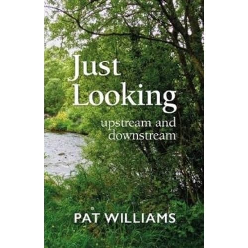 Just Looking (häftad, eng)