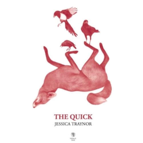 The Quick (häftad, eng)