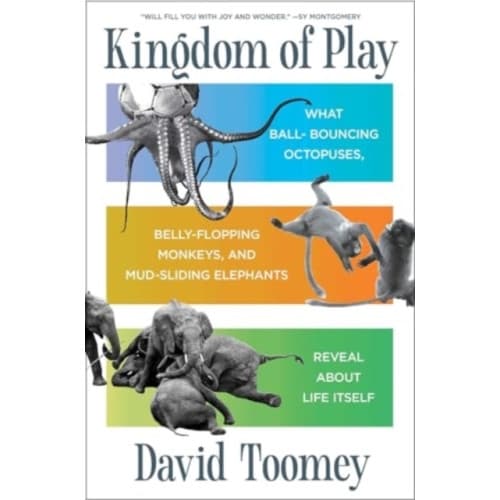 Kingdom of Play (inbunden, eng)