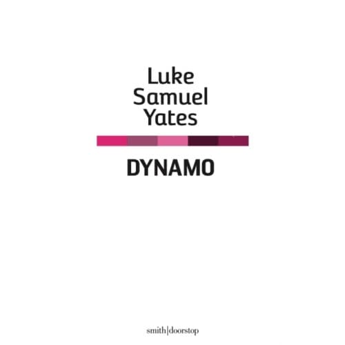 Dynamo (häftad, eng)